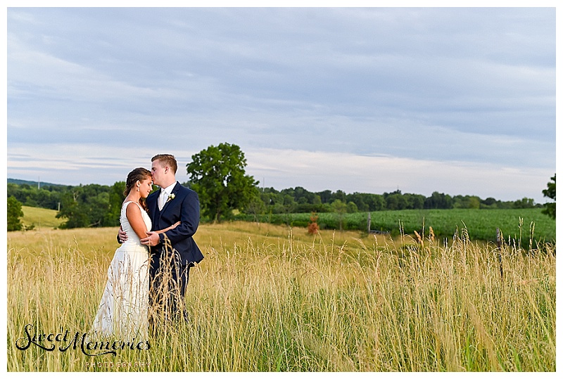 A Zion Springs Bed and Breakfast Wedding - South Florida Wedding Photographer