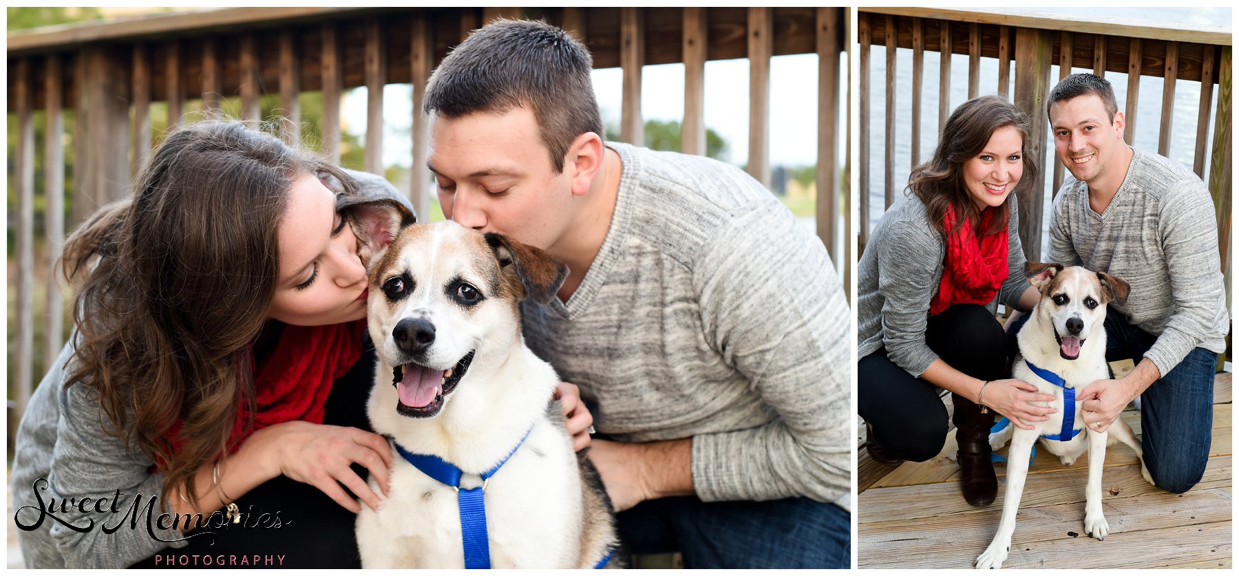 Dog's Family Session - South Florida Photographer