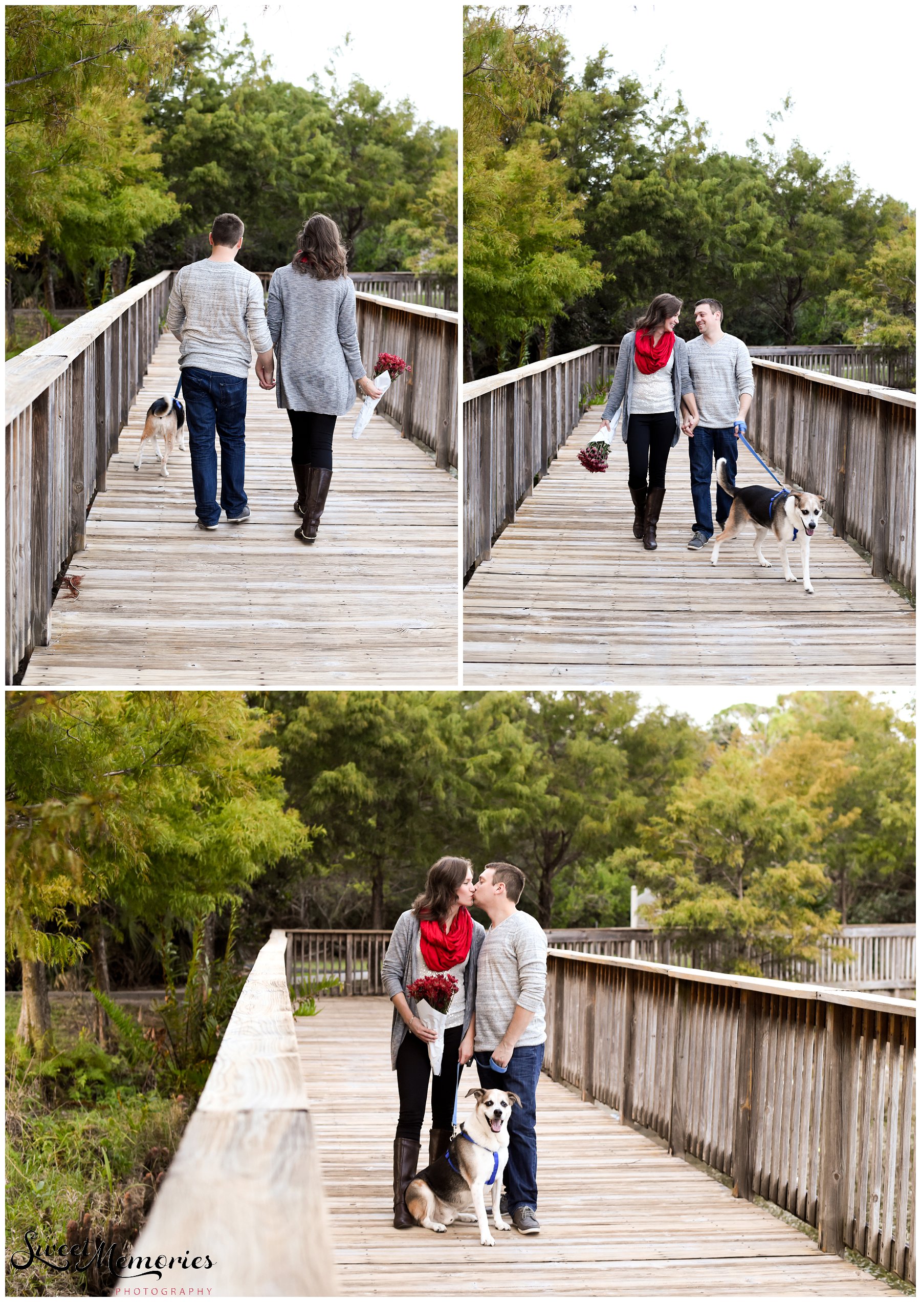 Dog's Family Session - South Florida Photographer