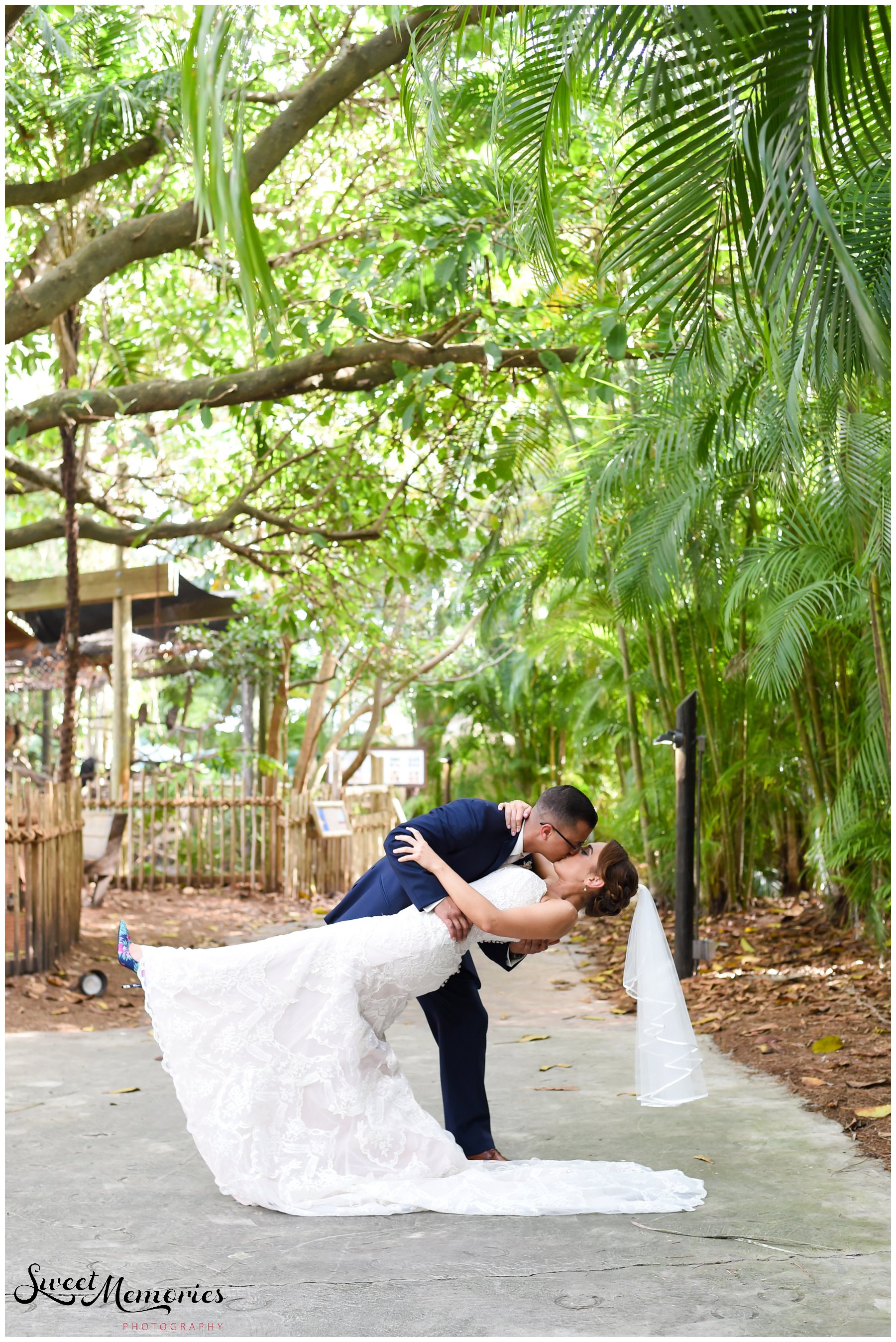 Lynsie and Angel's Zoo Wedding - South Florida Wedding Photographer