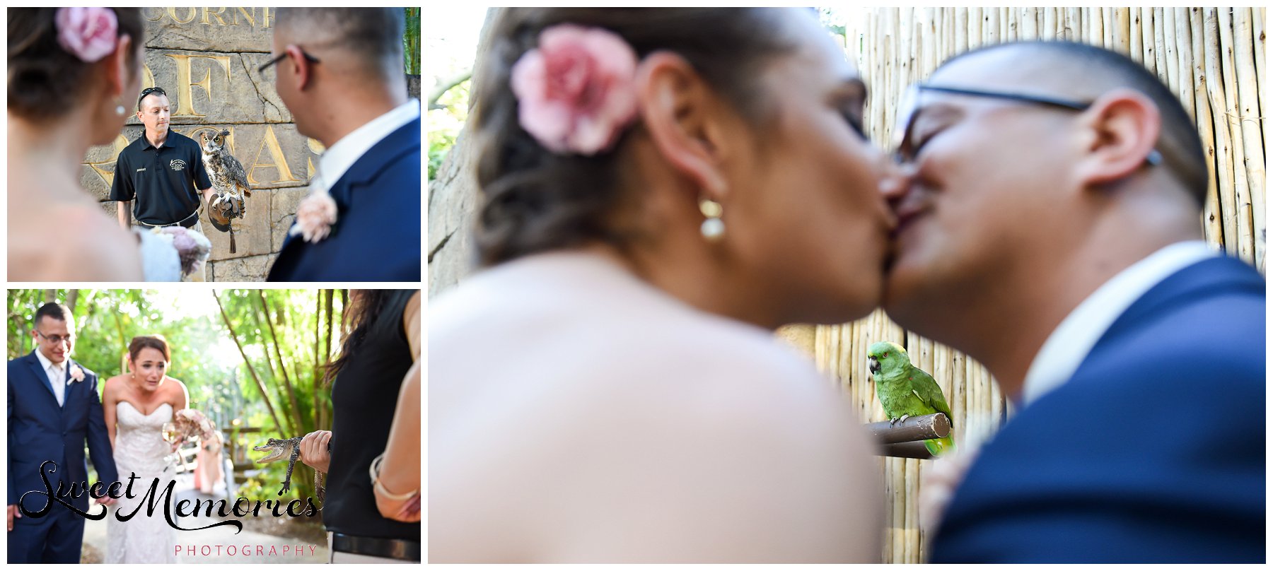 Lynsie and Angel's Zoo Wedding - South Florida Wedding Photographer