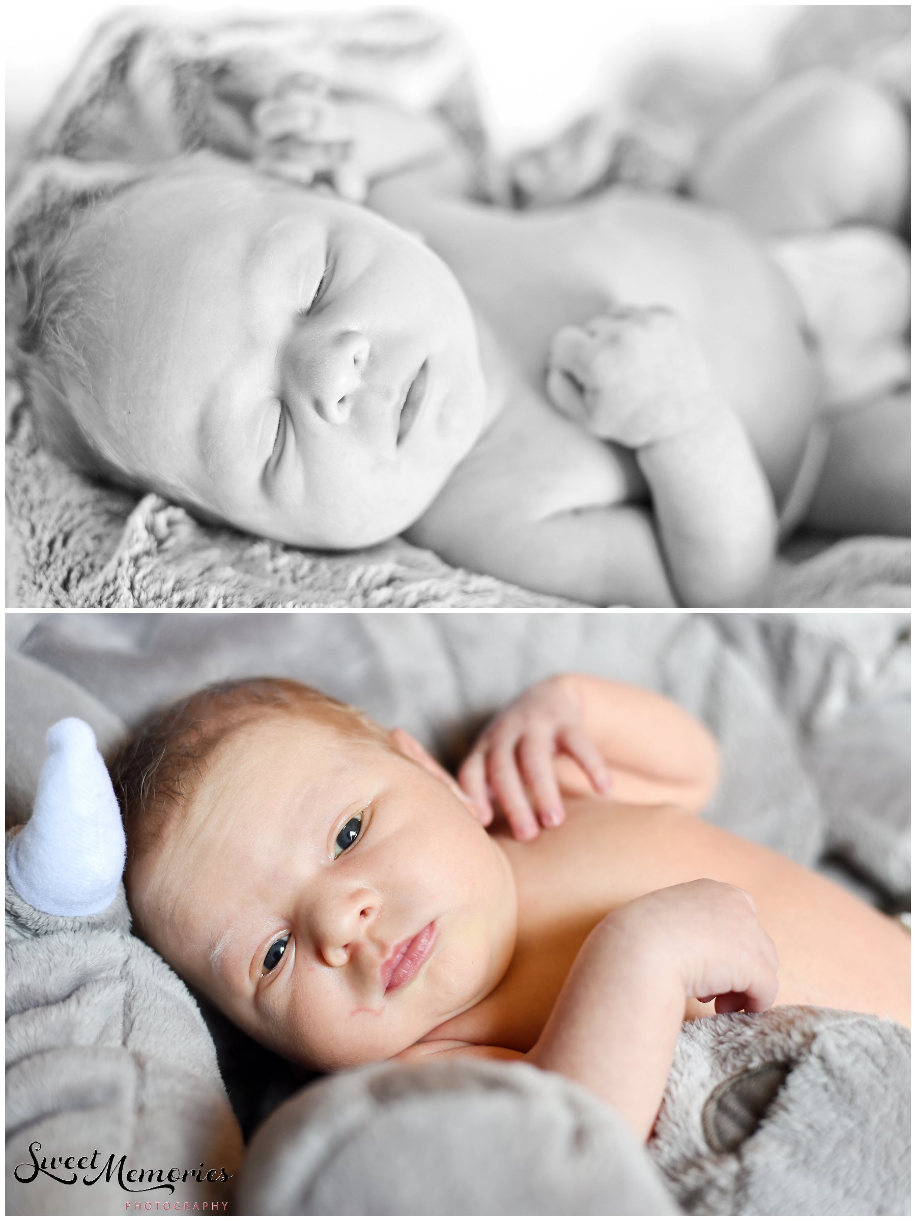 World Meet Baby Lucas - Boca Raton Photographer