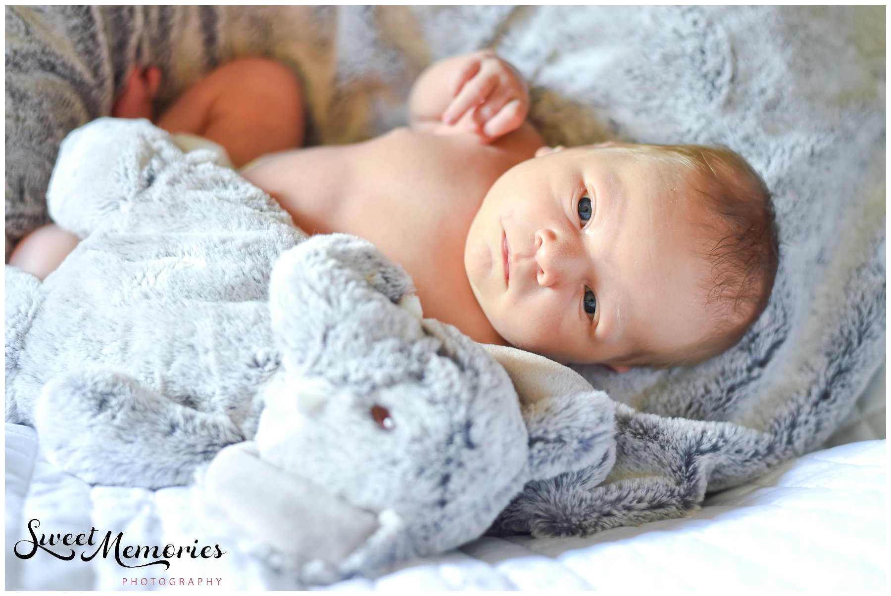 World Meet Baby Lucas - Boca Raton Photographer