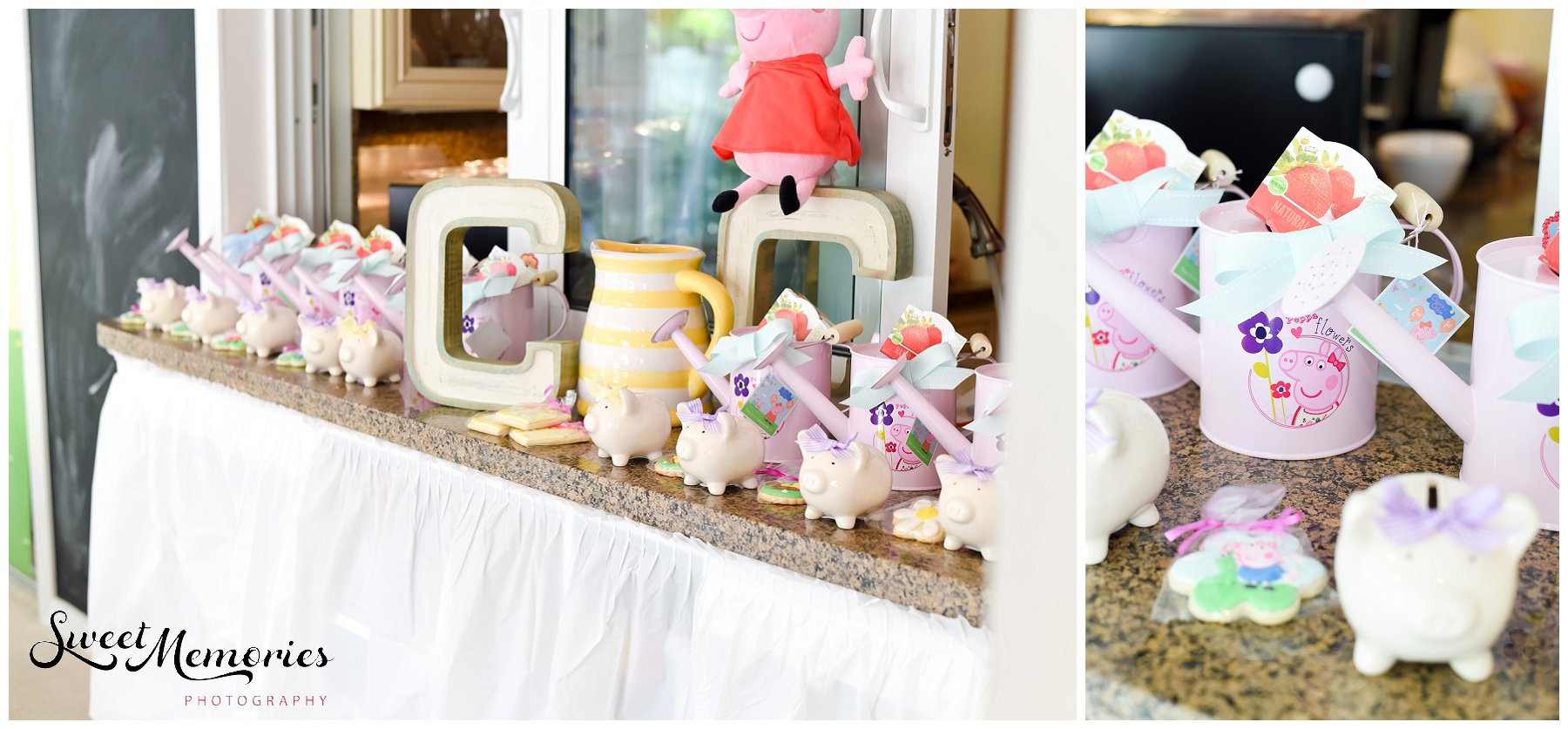 Peppa Pig Birthday - Boca Raton Photographer