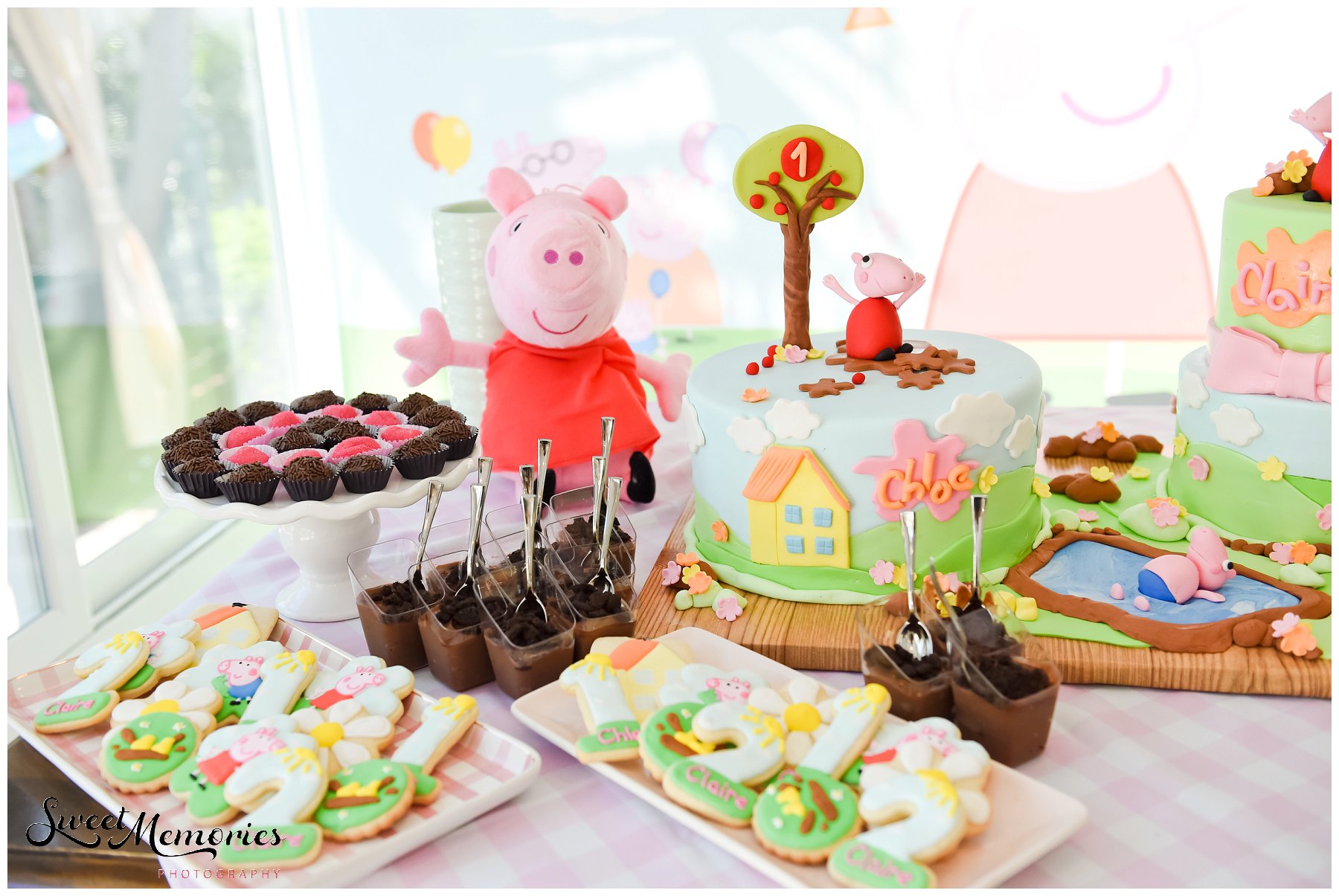 Peppa Pig Birthday - Boca Raton Photographer