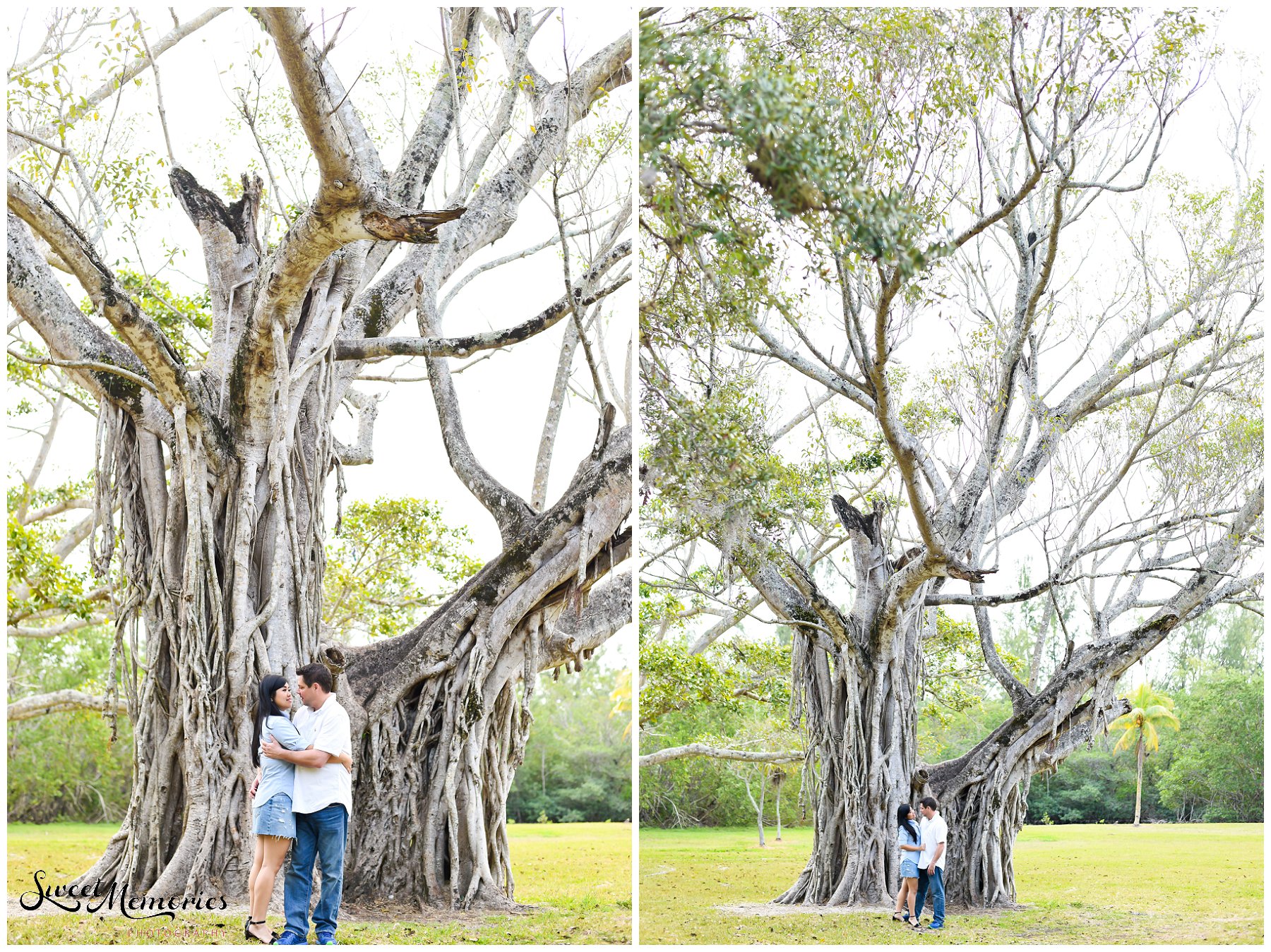 Matheson Hammock Park Engagement Session | Miami Photographer