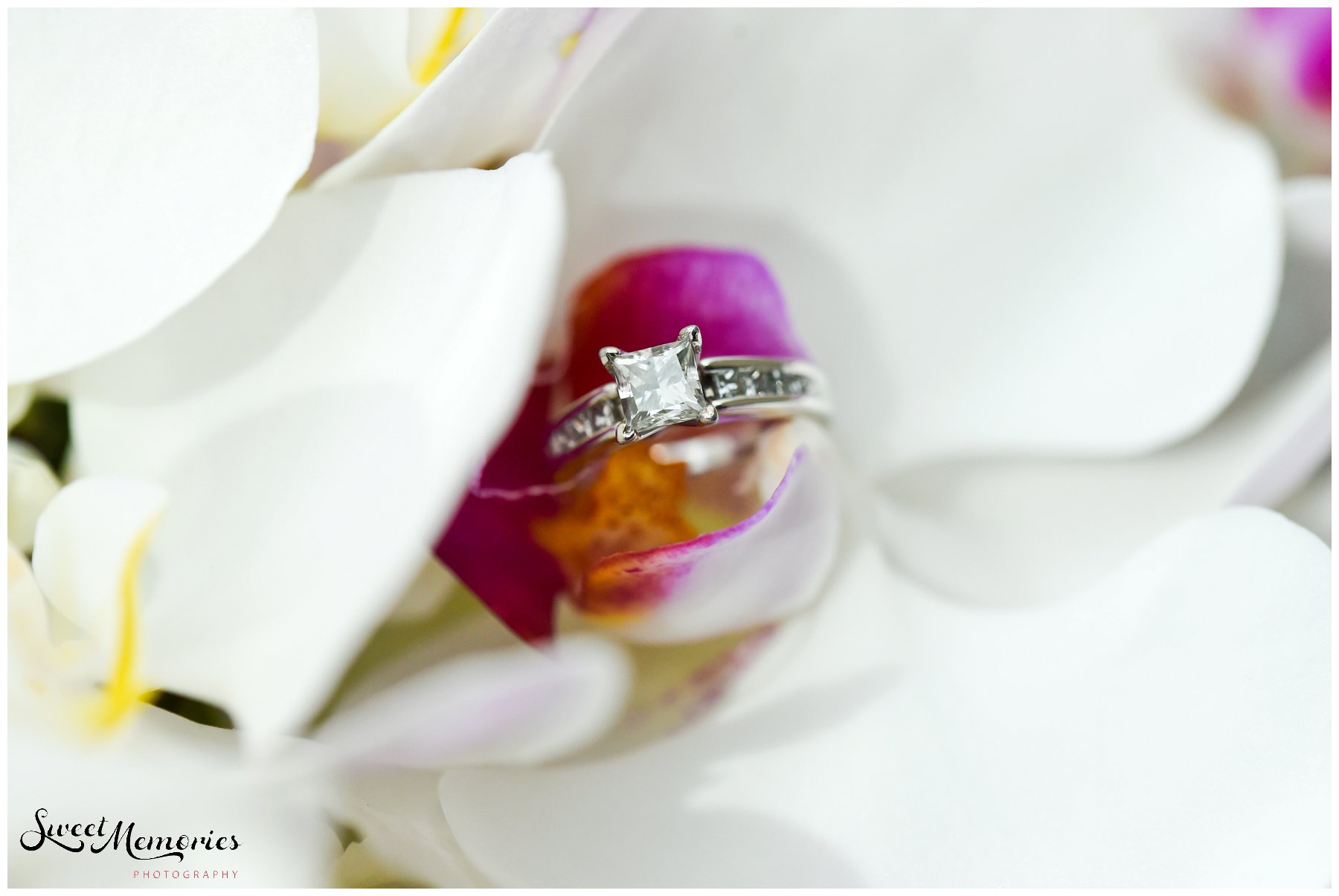 Sonia and Xavier's Jacaranda Country Club wedding started out with good luck (aka rain) and then clean and sunny skies the rest of the day. We couldn't have asked for a more perfect celebration for two of the most lovely and deserving people. 