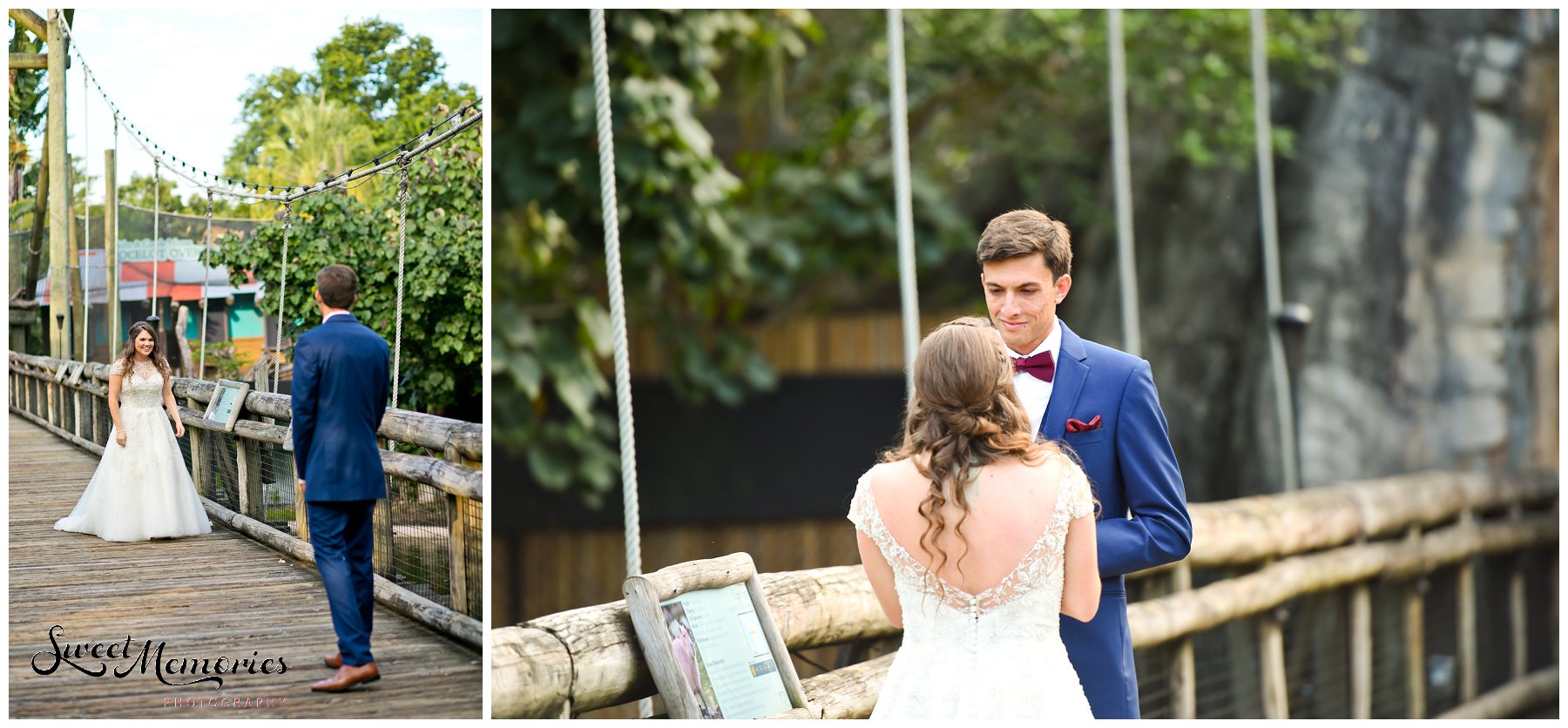 A Zoo Wedding: Chelsea and Robert's Love Story. For these two animal lovers, there was no question as to where they were going to be married. No venue could be more perfect than the Palm Beach zoo.