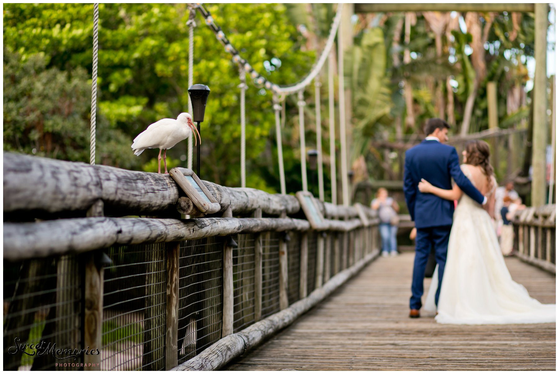 A Zoo Wedding: Chelsea and Robert's Love Story. For these two animal lovers, there was no question as to where they were going to be married. No venue could be more perfect than the Palm Beach zoo.