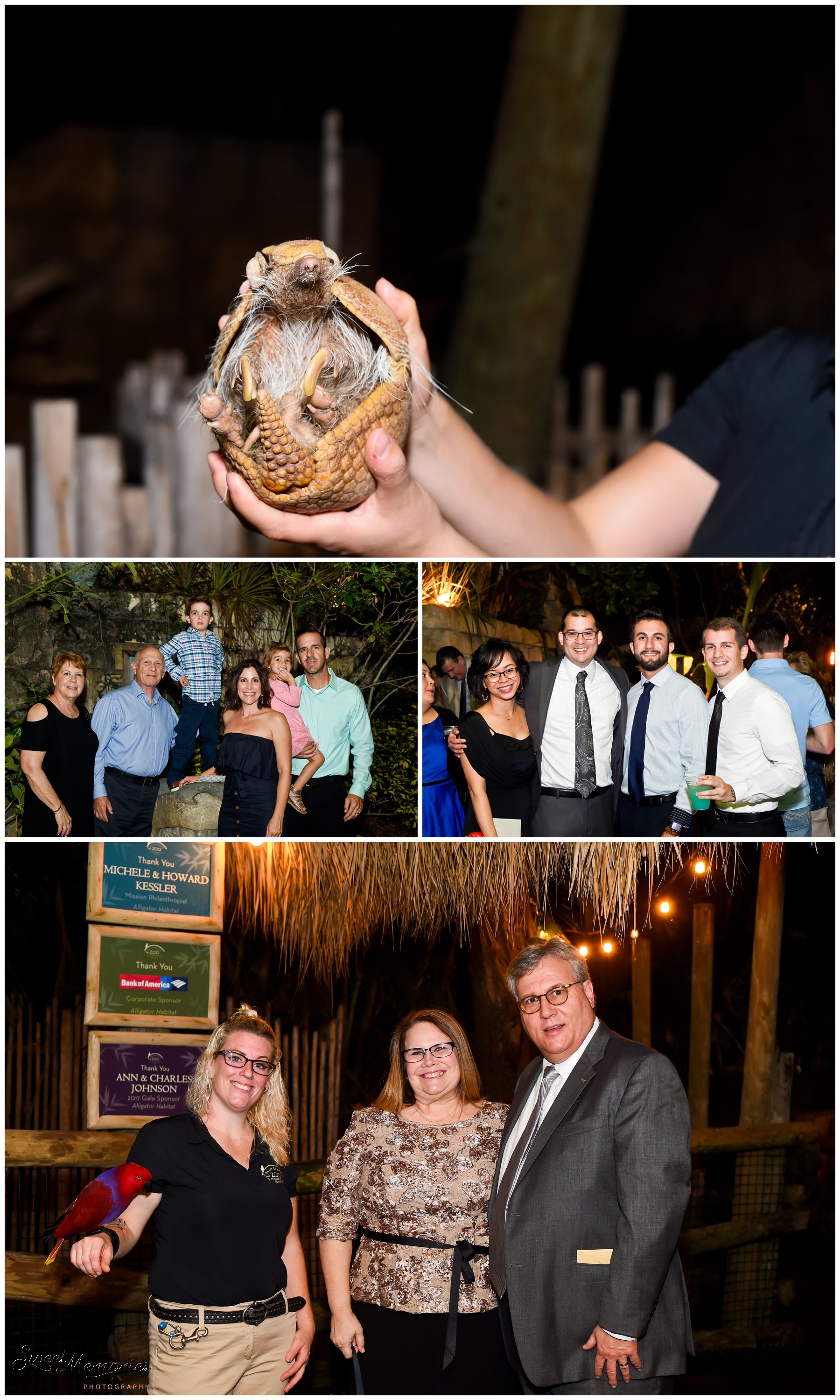 A Zoo Wedding: Chelsea and Robert's Love Story. For these two animal lovers, there was no question as to where they were going to be married. No venue could be more perfect than the Palm Beach zoo.