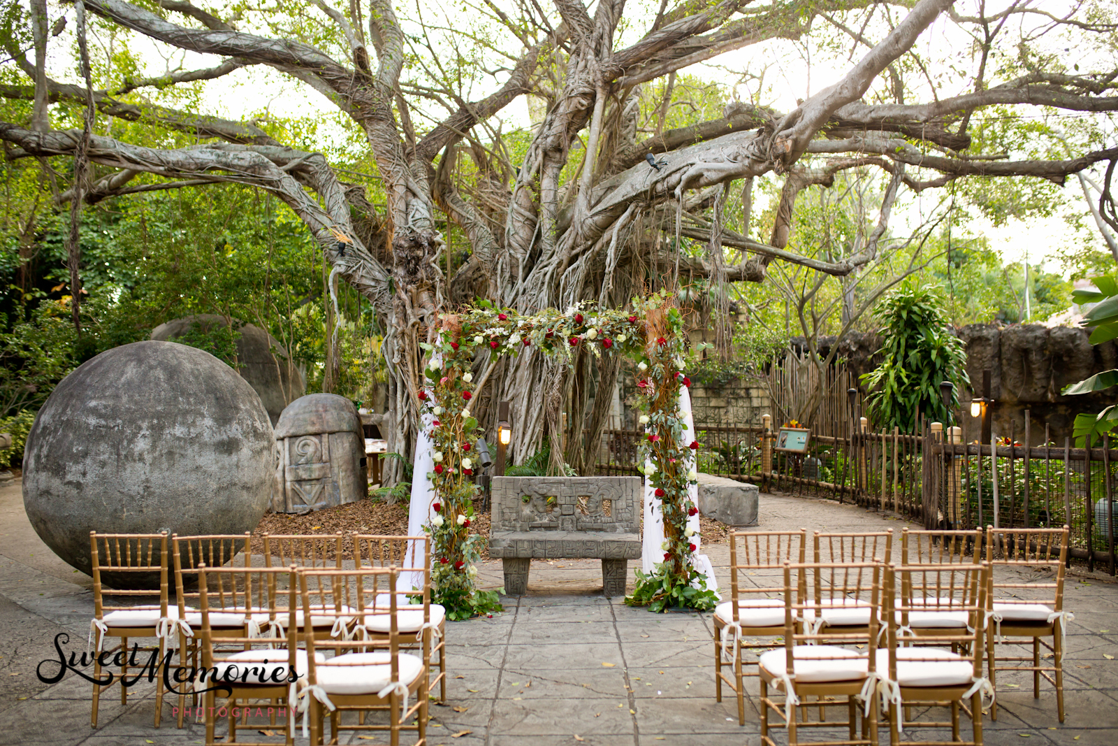 A Zoo Wedding: Chelsea and Robert's Love Story. For these two animal lovers, there was no question as to where they were going to be married. No venue could be more perfect than the Palm Beach zoo.