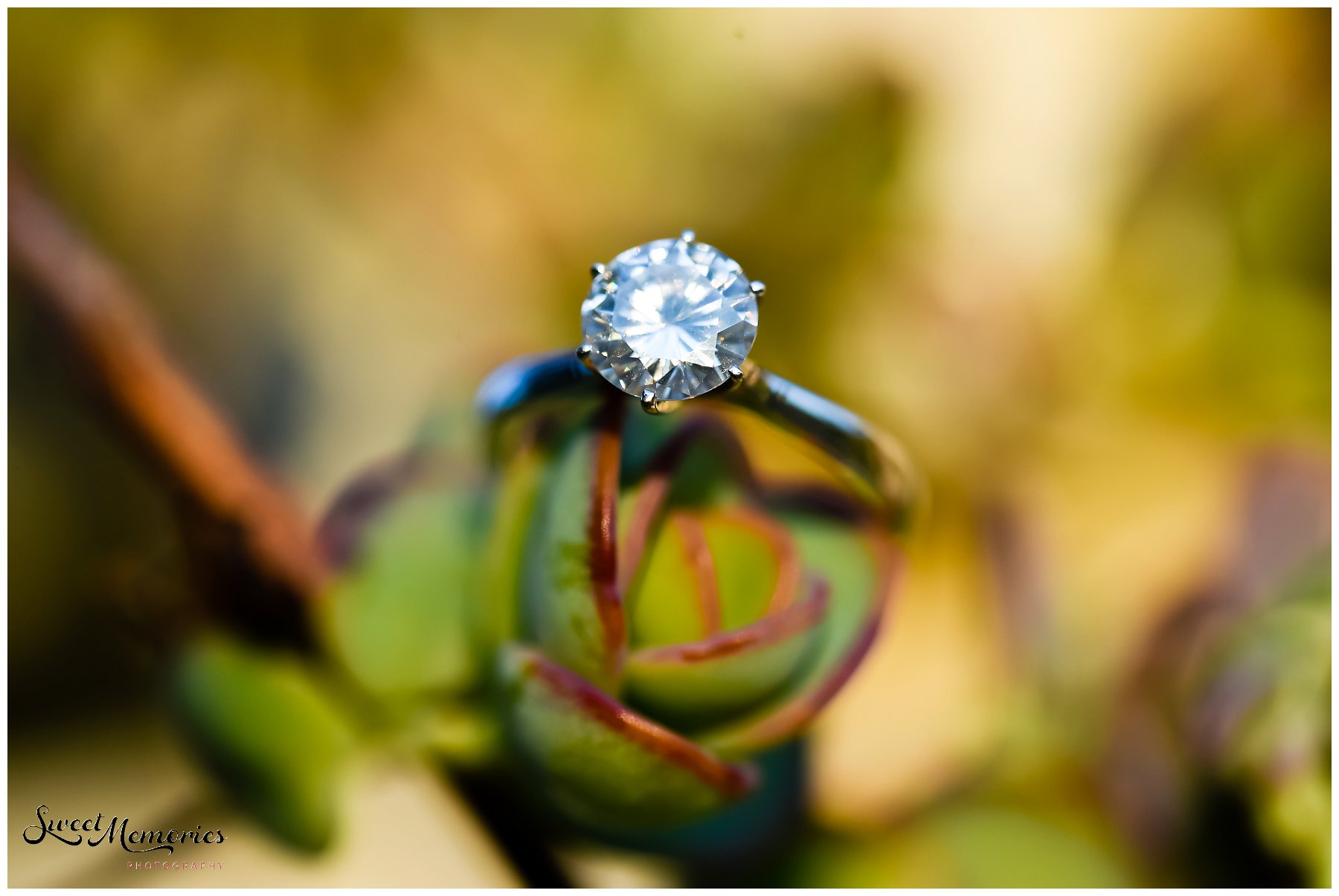 Nicki and Charlie's Vizcaya engagement session would never have taken place without the help of online dating. And if you didn't believe in soulmates, the "one, or people who were always meant to be, you will!