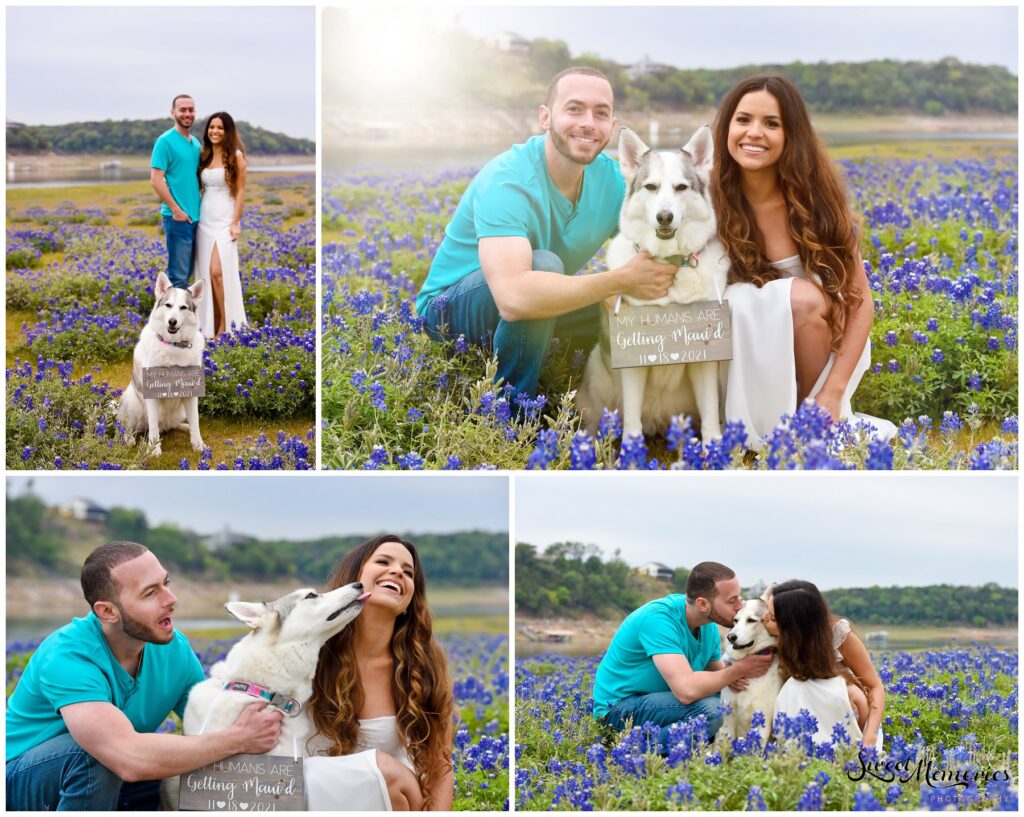 Zoe can't wait for her humans to be married. Until then, she'll be a part of the save-the-date Bluebonnet engagement session.