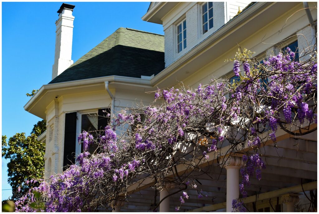 The outside of Woodbine Mansion.