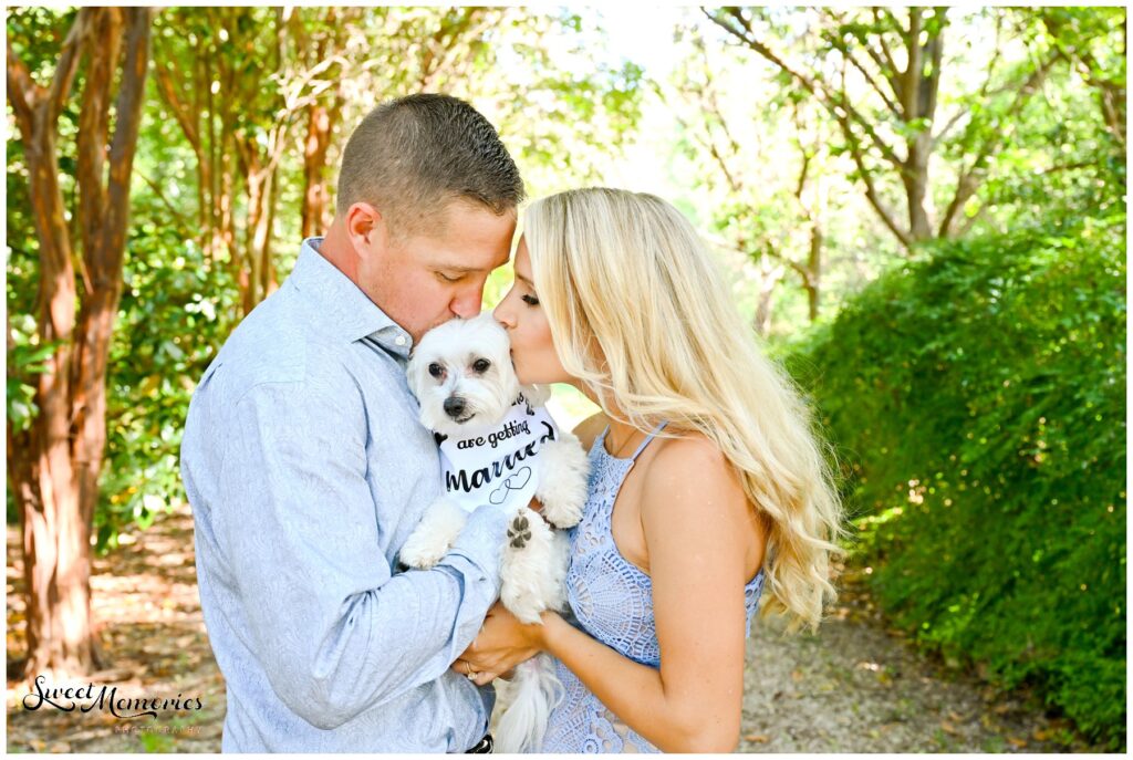 This Waco engagement session with a beautiful couple and their three furbabies was so much fun!