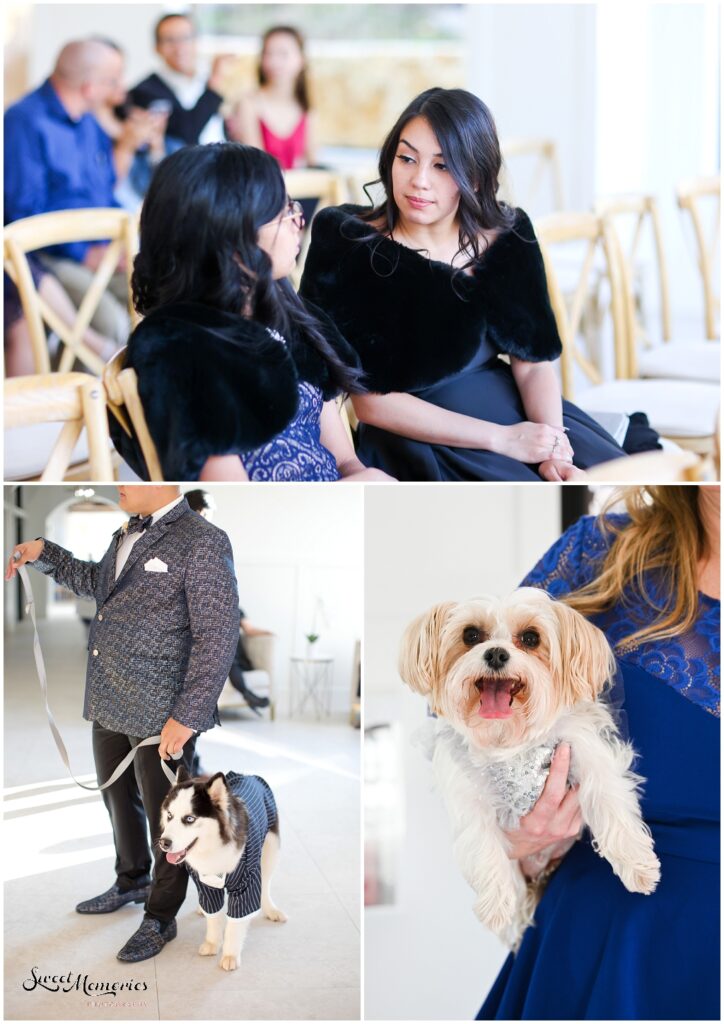 Some of the wedding guests.