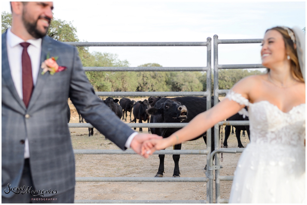 Austin Winery Wedding | Dripping Springs Photographer