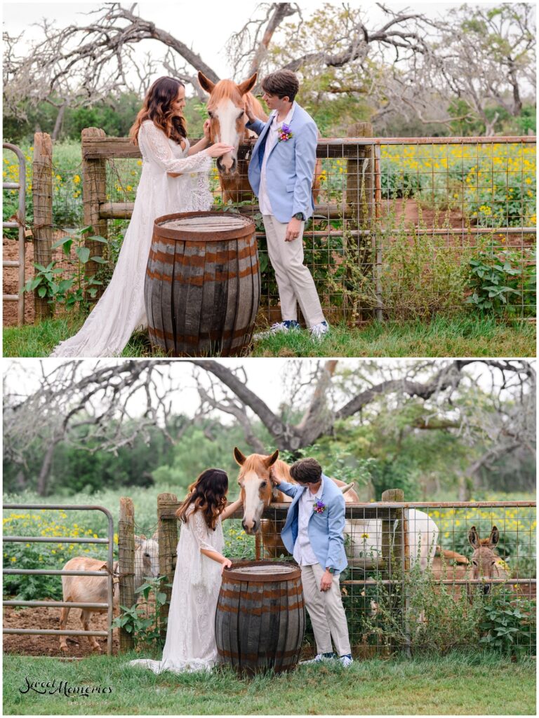 Dripping Springs wedding at Rambling Rose Ranch | Austin and Drippings Springs Wedding Photographer