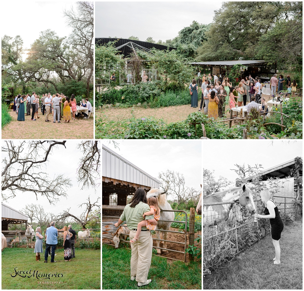 Dripping Springs wedding at Rambling Rose Ranch | Austin and Drippings Springs Wedding Photographer