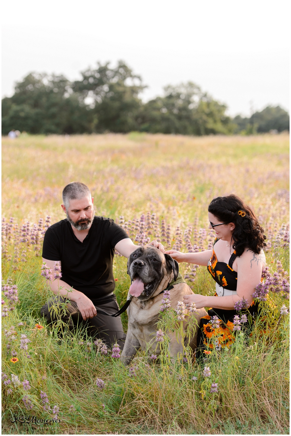 family photo shoot in Austin | Texas photographer