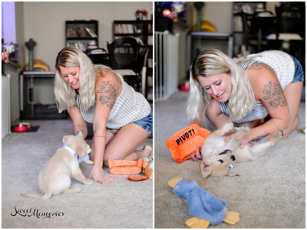 Pet portraits | Austin lifestyle photographer