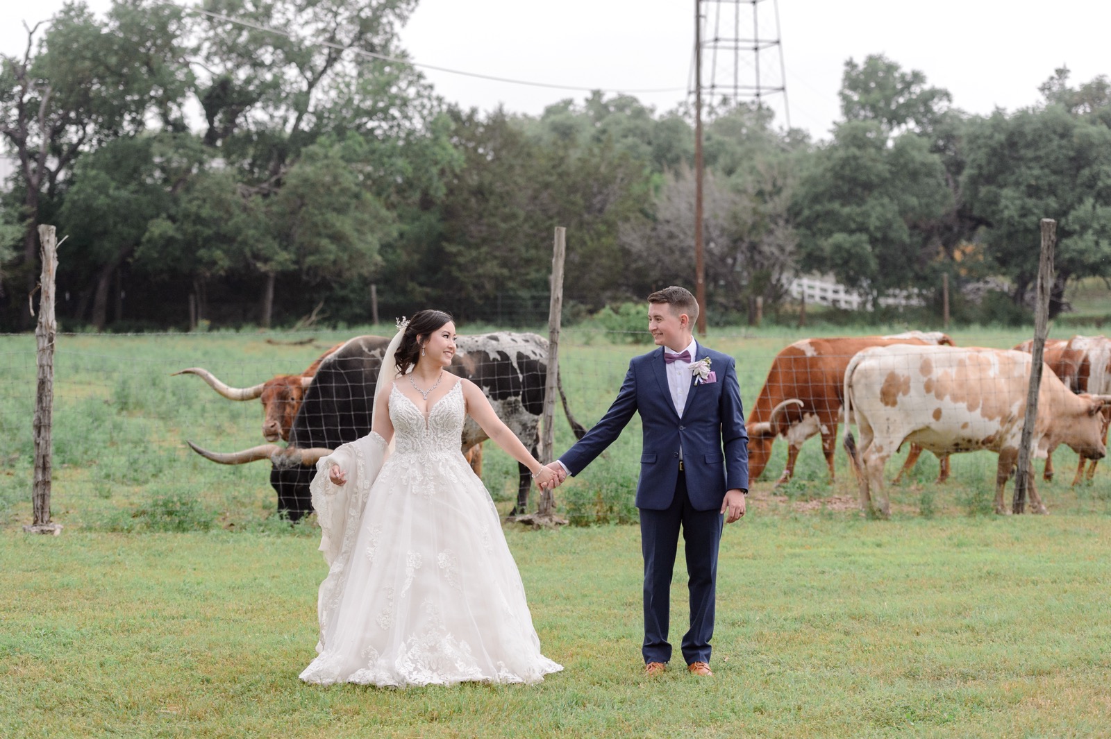 Bride and groom standing with the Addison Grove wedding longhorns.