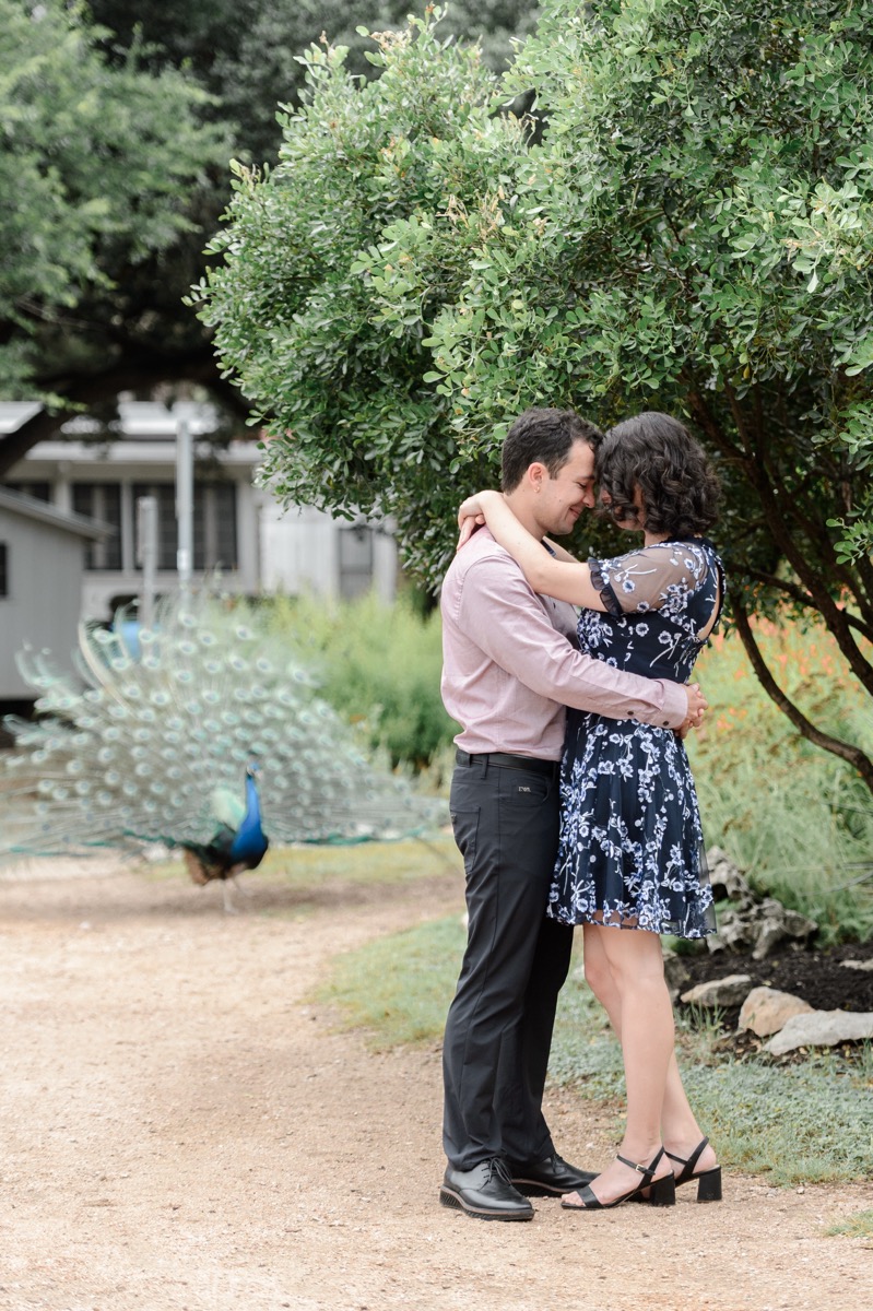 mayfield park engagement session with peacocks in austin texas