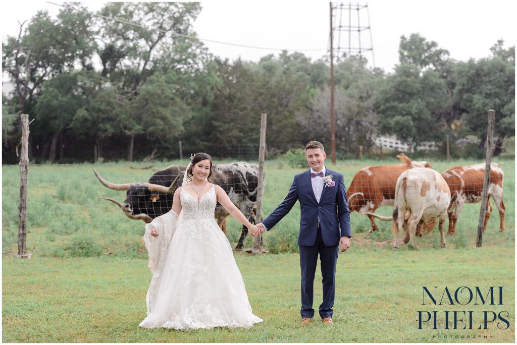 The bride and groom posing in front of the Addison Grove's longhorns