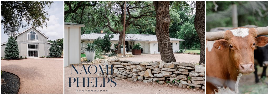 The buildings and longhorns at Addison Grove