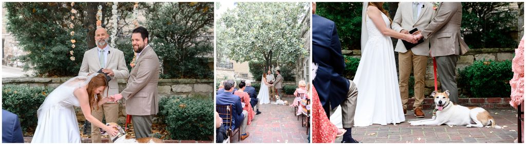 The bride and groom's dog between them during their Downtown Austin wedding ceremony.