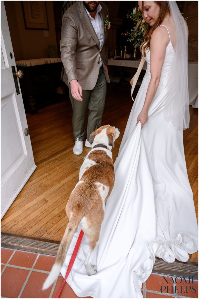 Their dog stepping on the bride's dress after their Downtown Austin wedding ceremony.