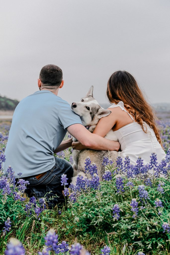 Couple and their dog in bluebonnet fields for Austin engagement photos.