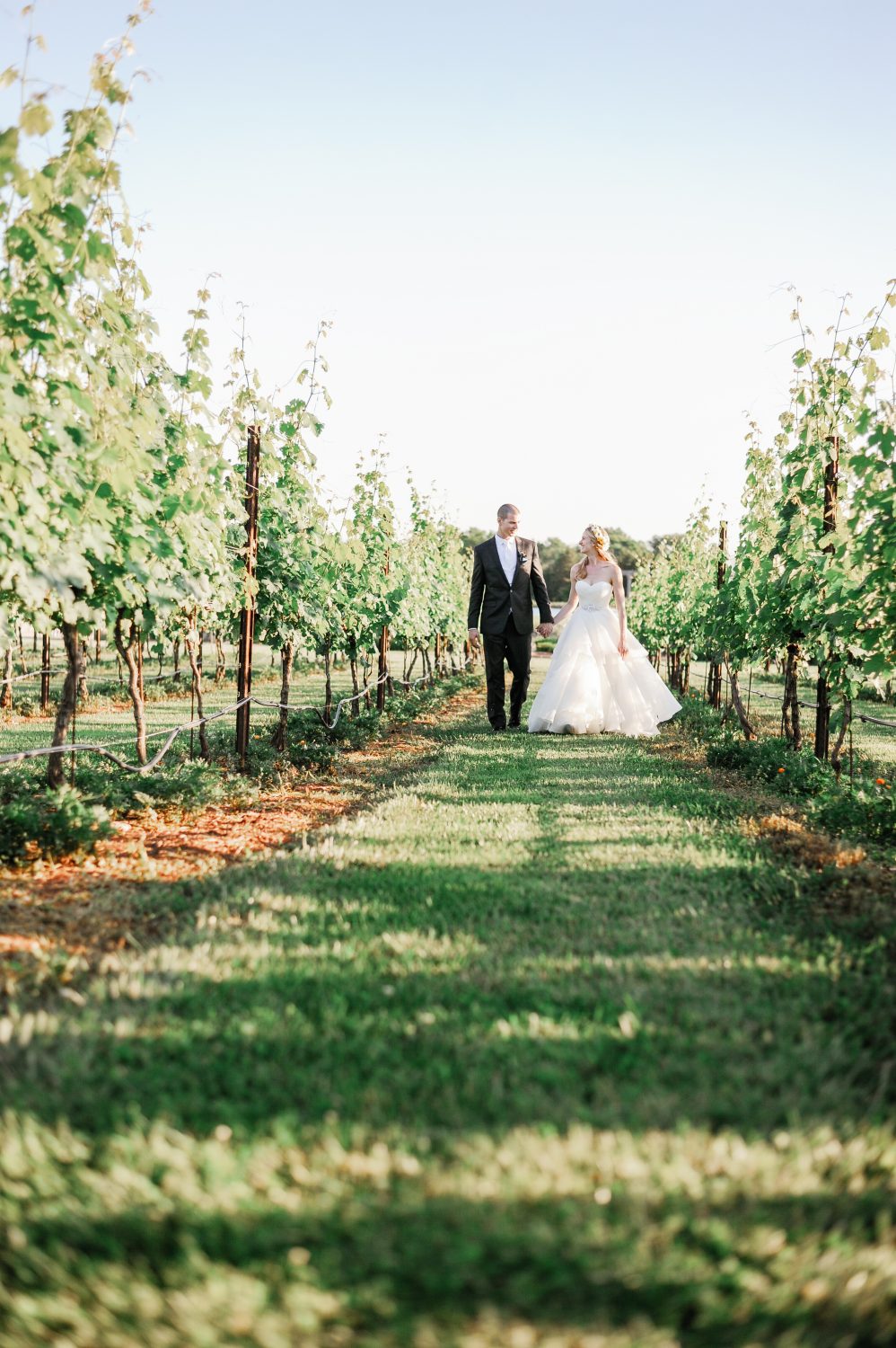 Bride and groom walking through the vineyards in a Virginia winery